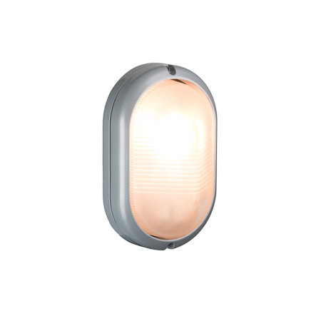 Bulleye LED buitenlamp zilver 230v 